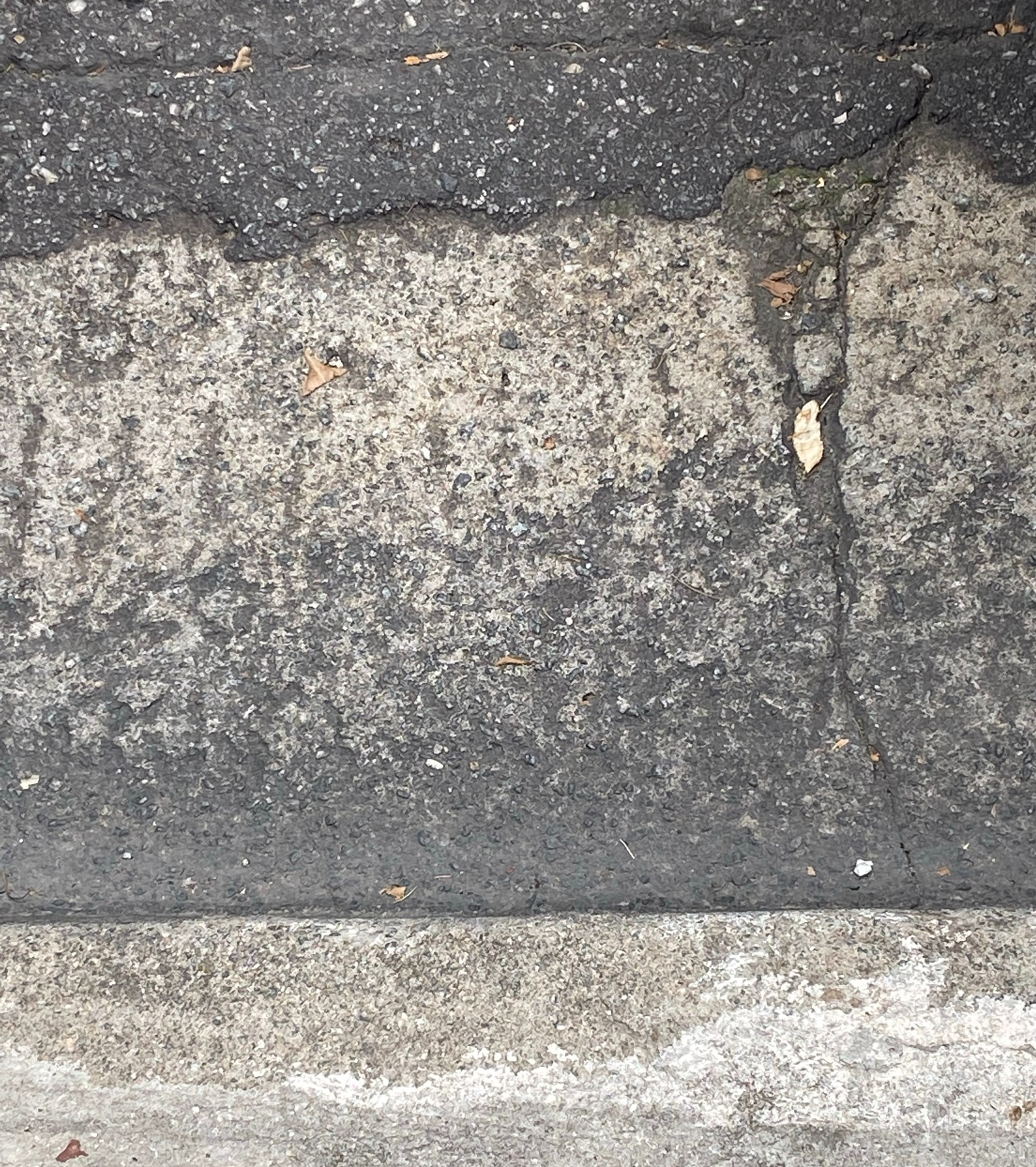 "Marinha L: A tempestade se aproxima", 2021. Fotografia.