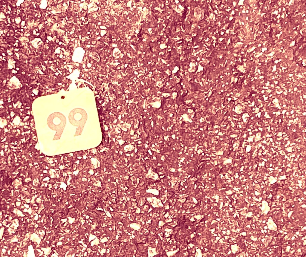 "99", Justino, fotografia, 2021.