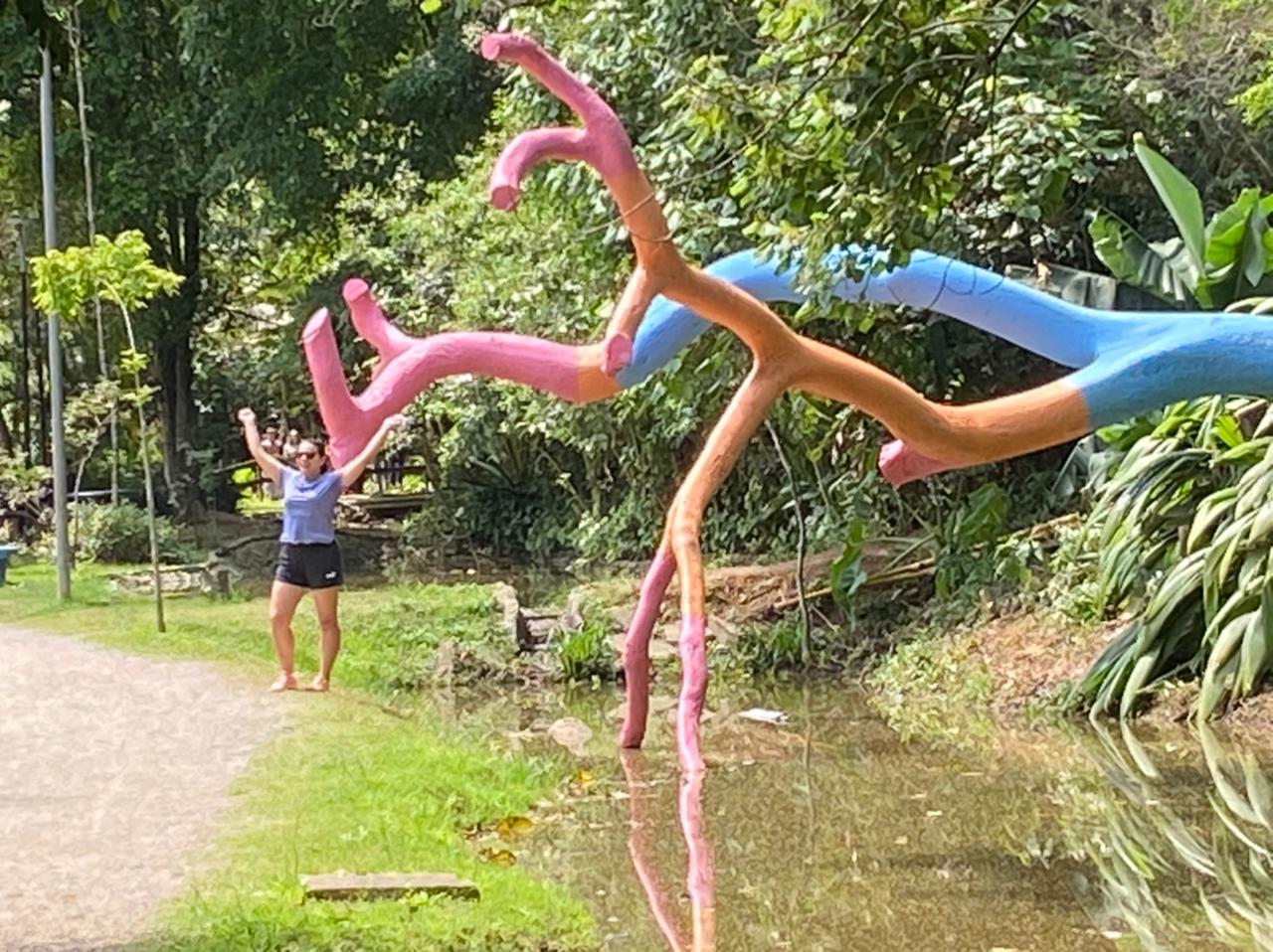 O Recomeço 2021 Escultura localizada no Bosque Maia, Guarulhos. INtervenção sobre copaíba derrubada pelo vento.
