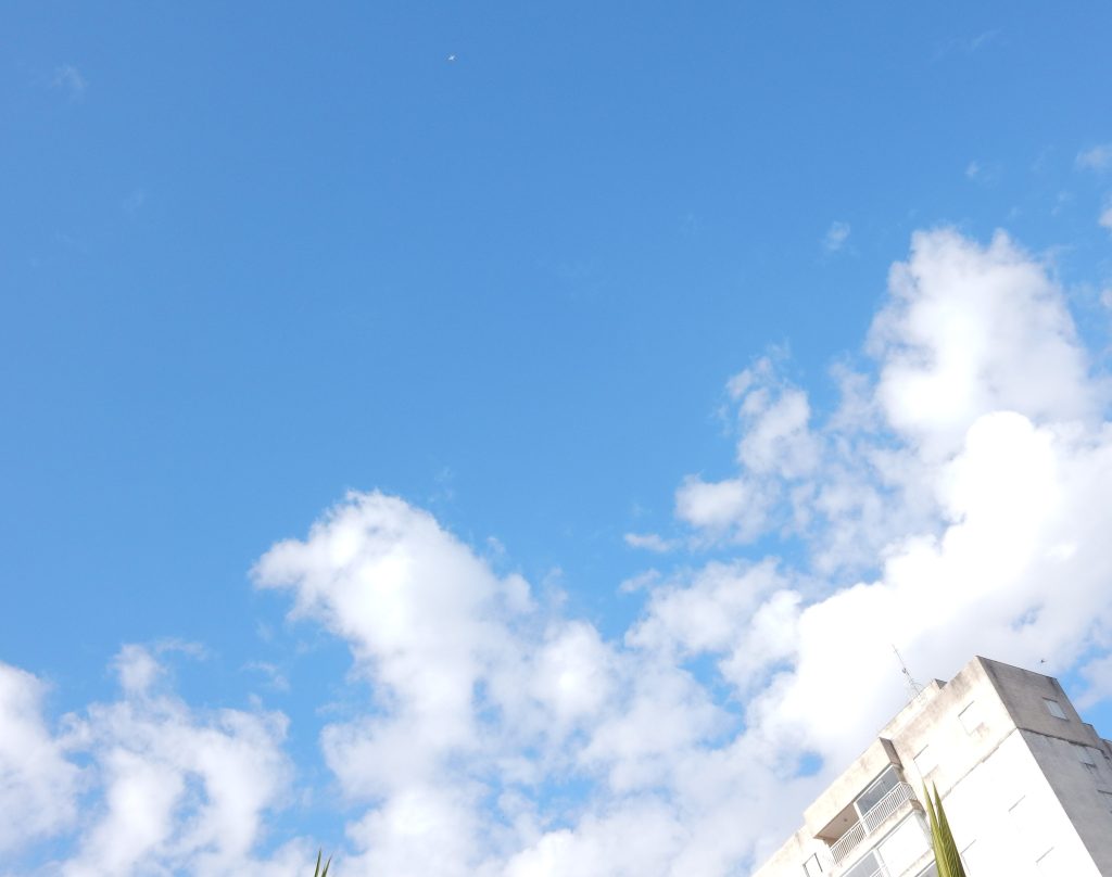 Quinhentos mil cadáveres em céu azul- 5