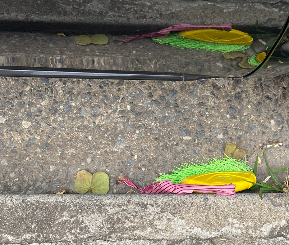 "Peixe fantástico" Justino, 2023. Fotografia digital