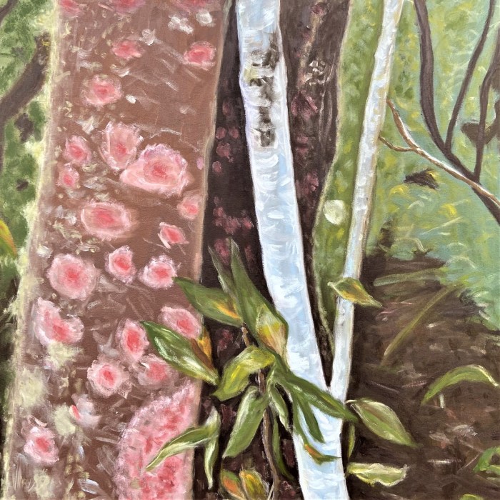 Mantiqueira: Começo, Meio e Fim – Parte&nbsp;5