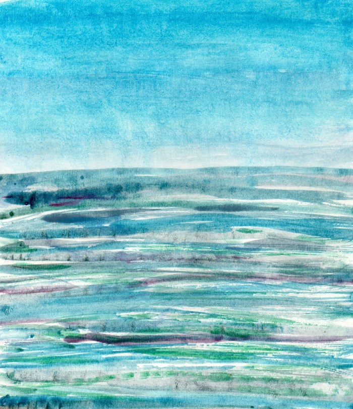 Nova série: Marinhas – in litore maris&nbsp;(H)