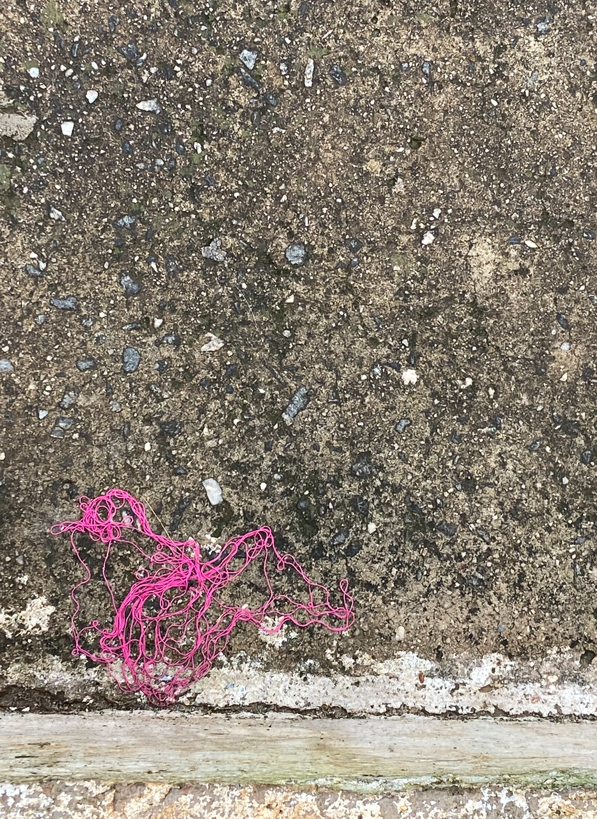 Marinha: "A chegada do vapor"