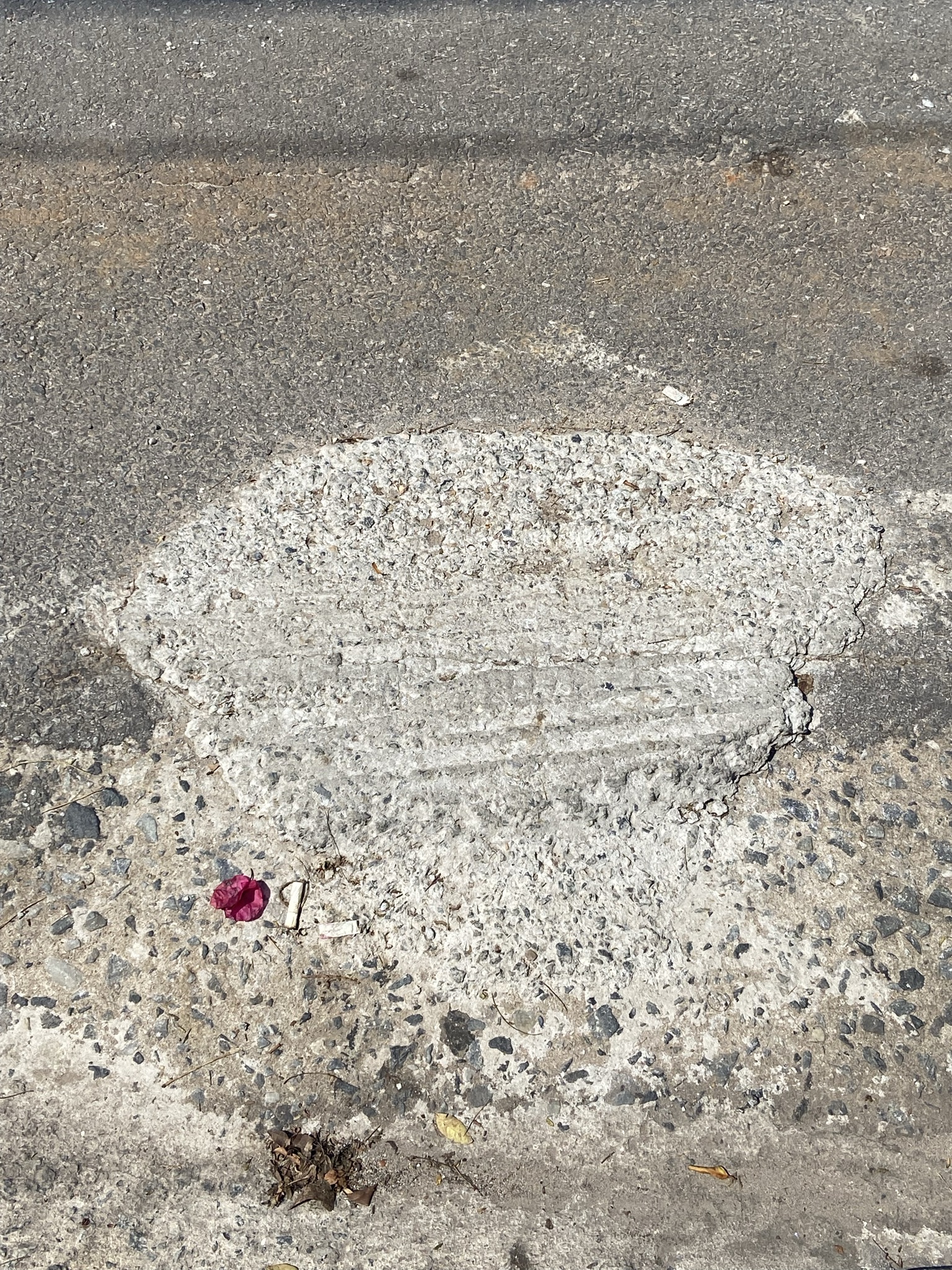 Marinha T: Transatlântico aportando antes da chuva chegar 2021 Fotografia