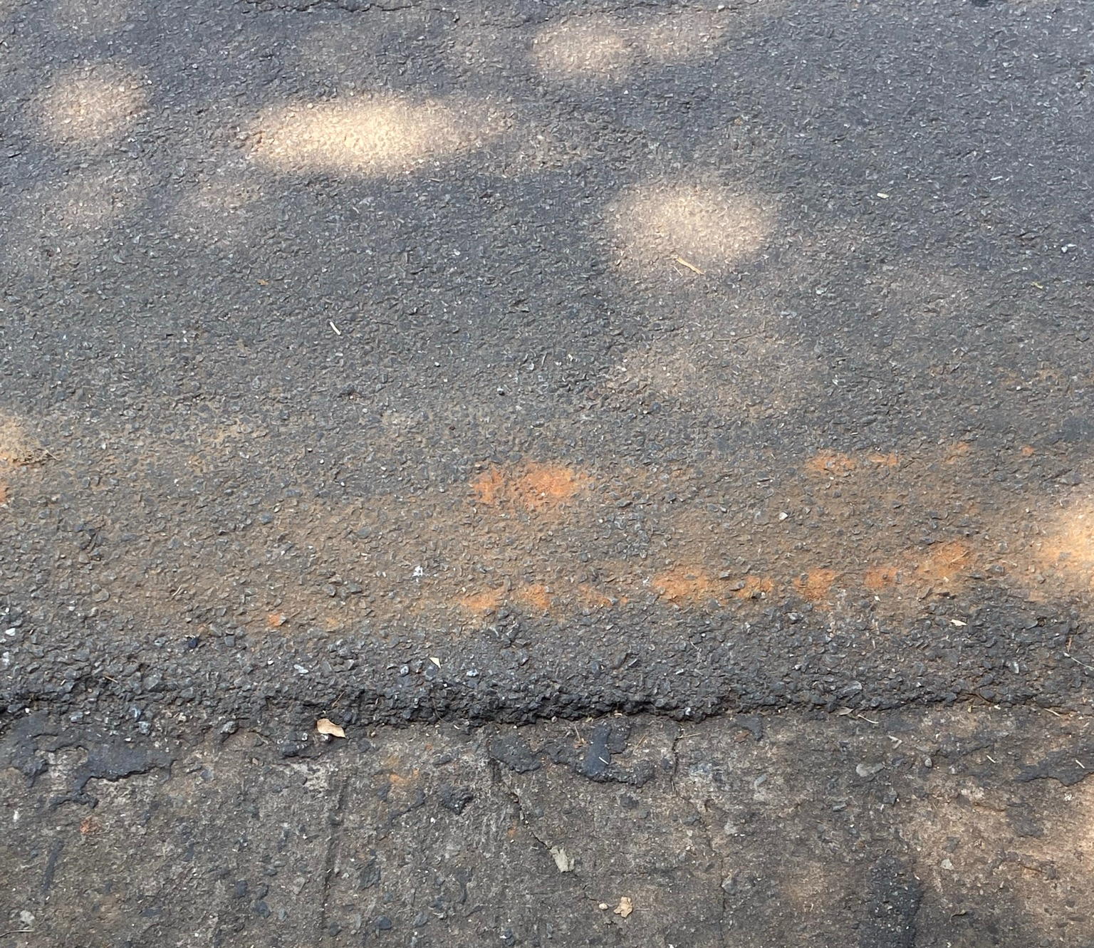 Marinha O: Enfim, a tempestade se esvai 2021 Fotografia