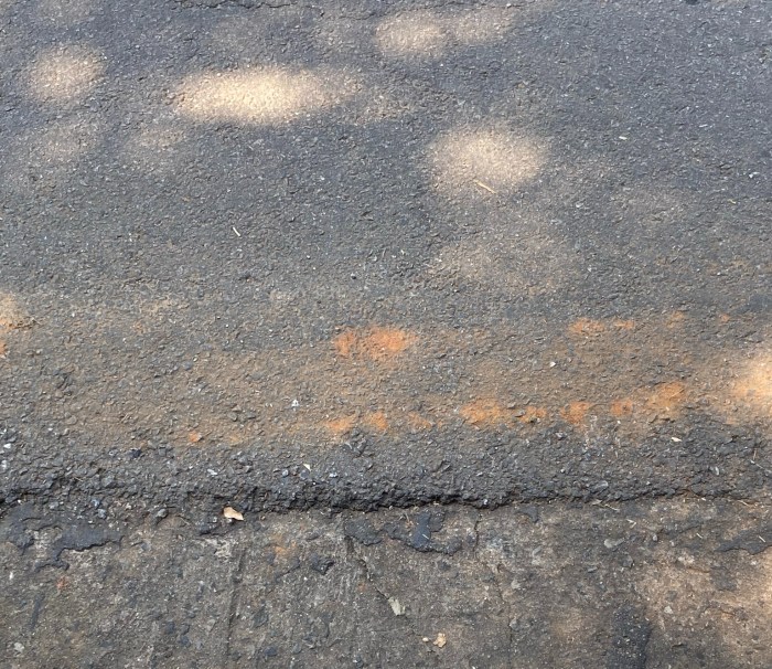 Marinhas – in litore maris (O to&nbsp;Q)