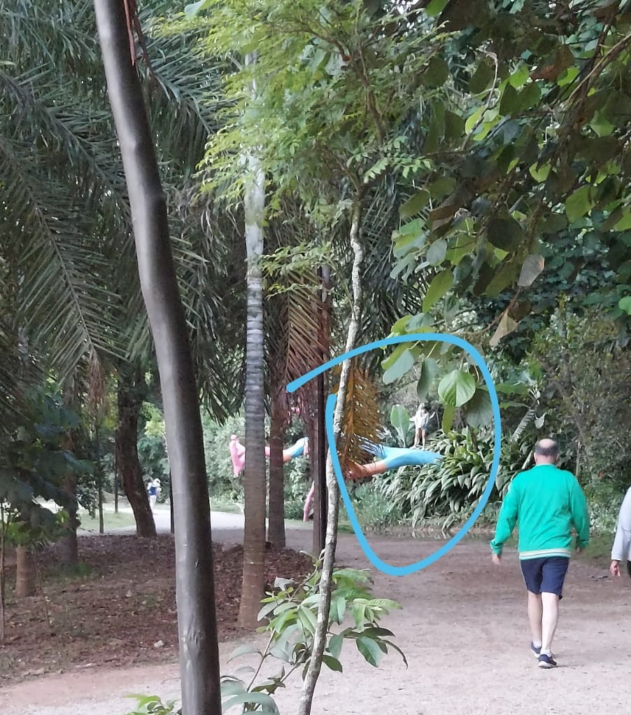 A arte é do povo, mas cuidado pra não cair....