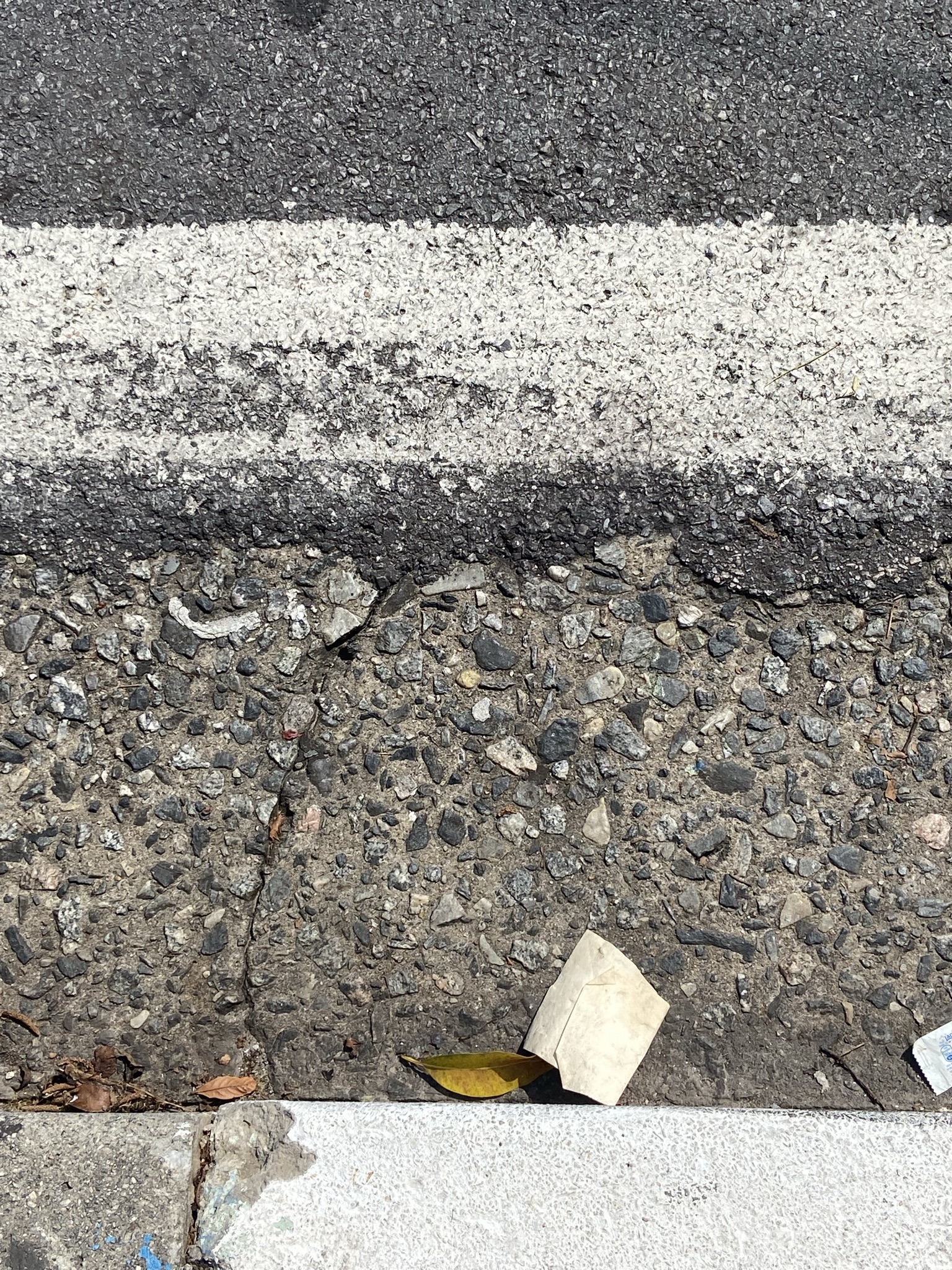 Marinha U: VEla quadrada fugindo da tempestade 2021 Fotografia