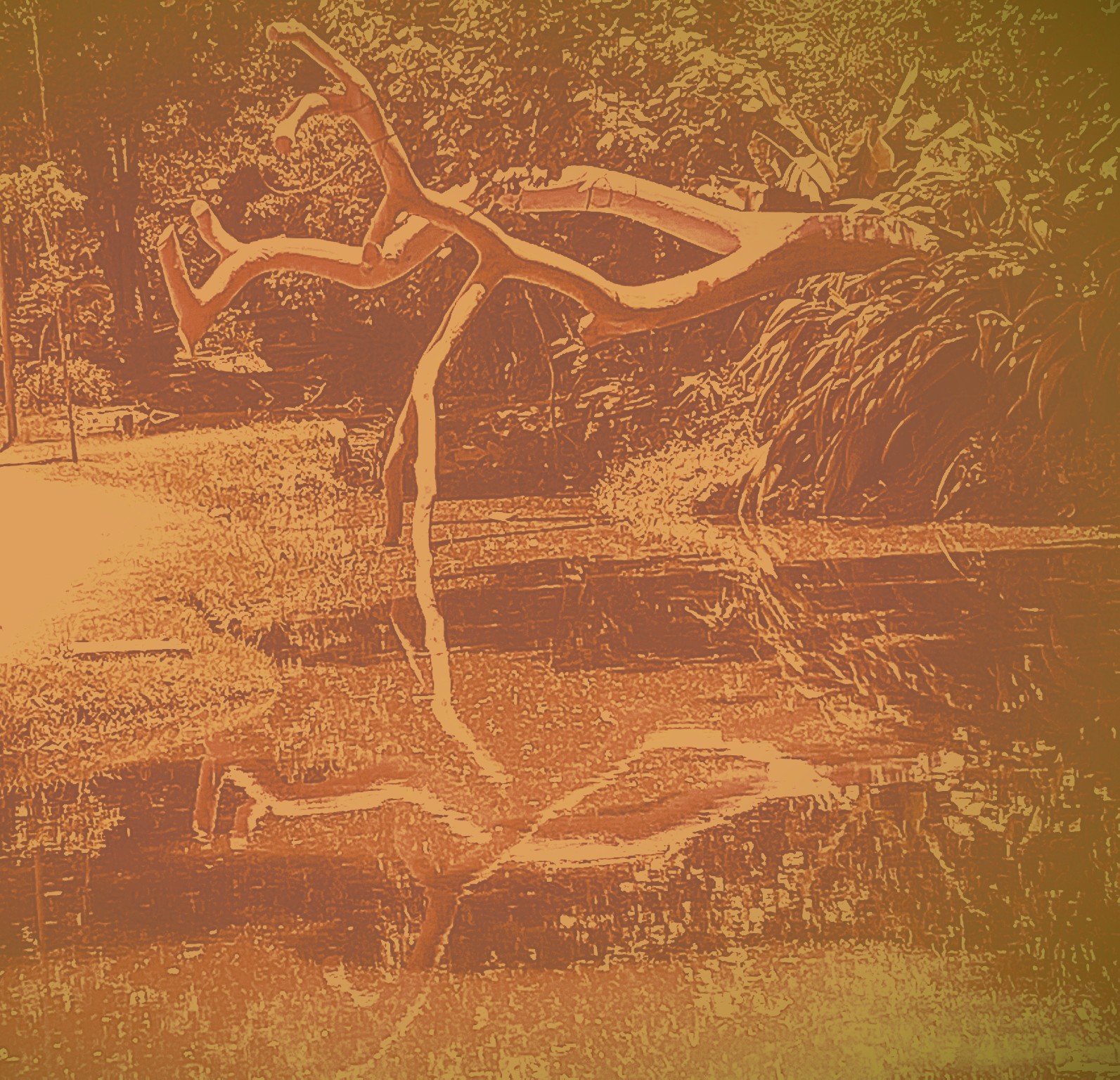 #ORecomeço e seu duplo - 5  2021