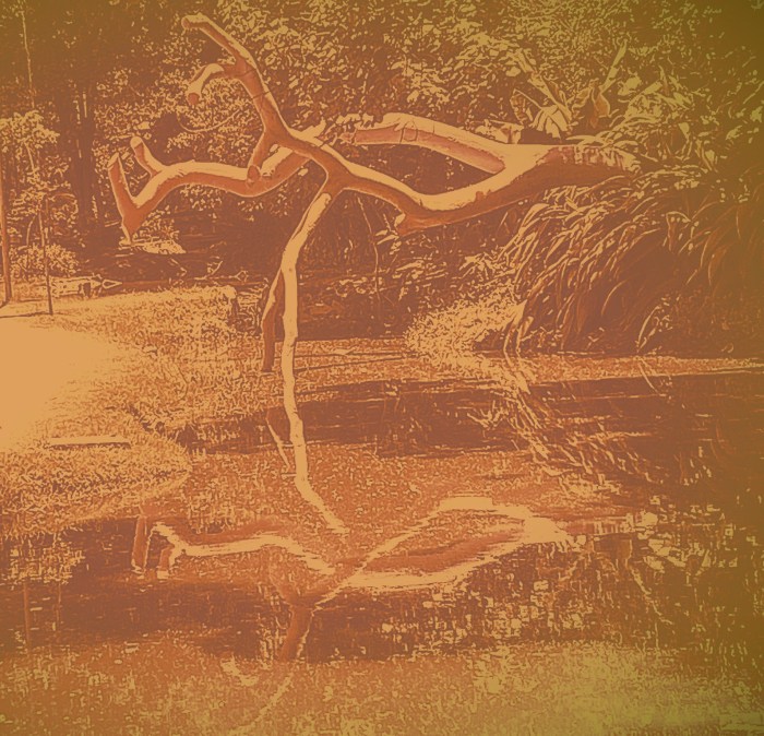 #ORecomeço e seu duplo –&nbsp;5